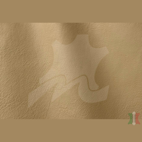 ROMA COLLECTION