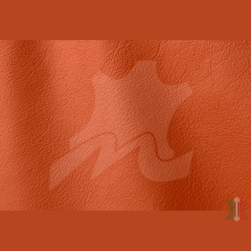 ROMA COLLECTION