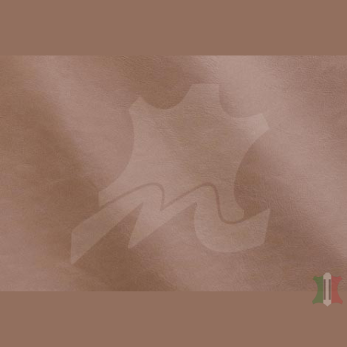 LINEA COLLECTION