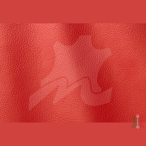 ROMA COLLECTION