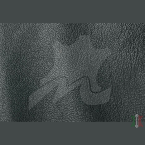 ROMA COLLECTION