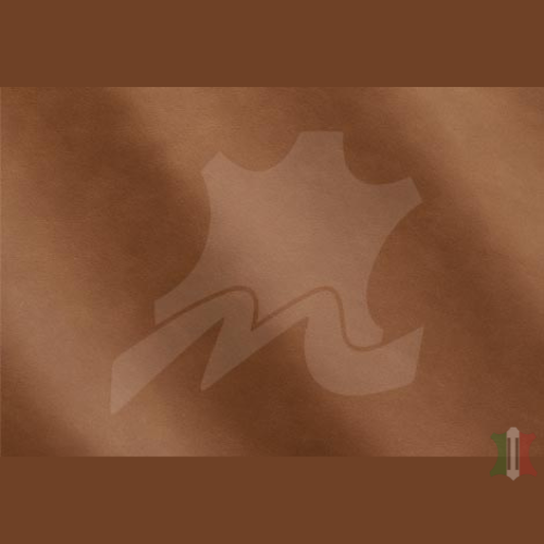 LINEA COLLECTION