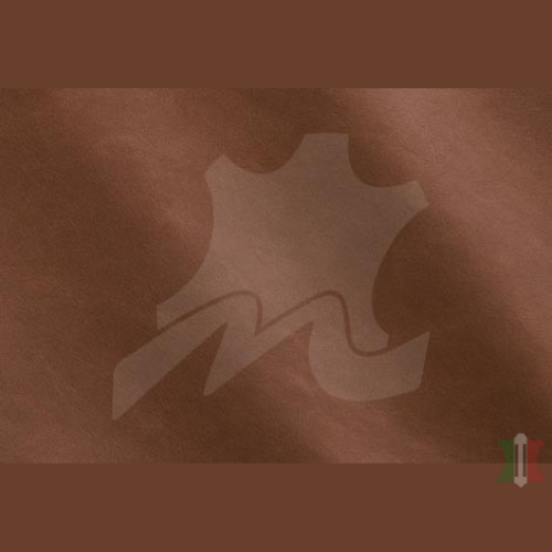 LINEA COLLECTION