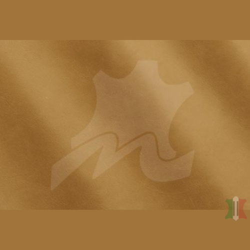 LINEA COLLECTION