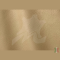 ROMA COLLECTION