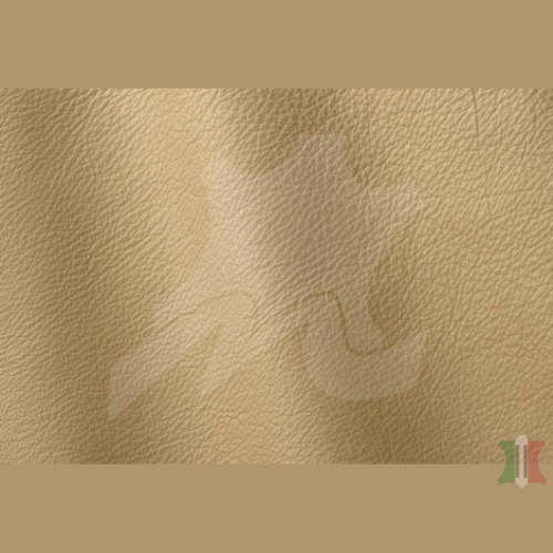 ROMA COLLECTION