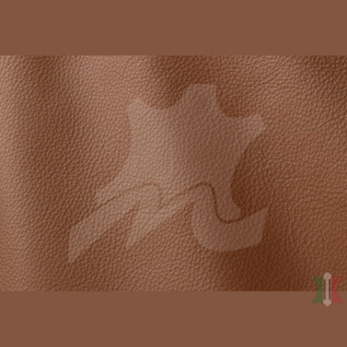 ROMA COLLECTION