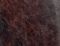 ANTHENA